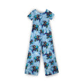 Shimmer & Swim Jumpsuit **PreOrder**